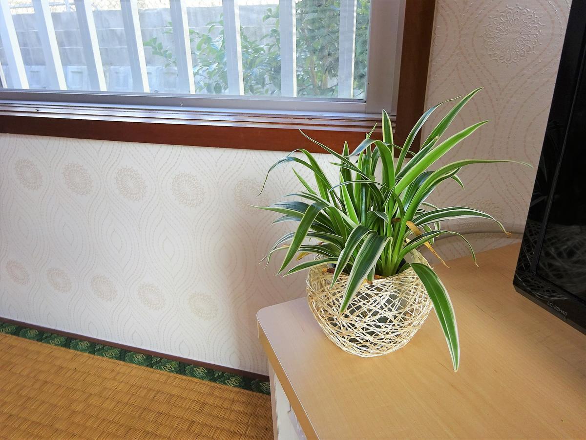 Minshuku Itoman Bettei Goyukkuri Hotell Exteriör bild